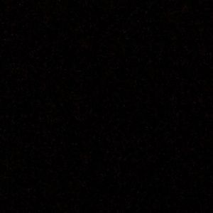 Meet your Posher, Sansanee